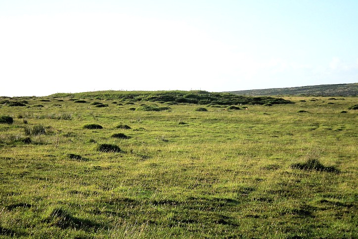 Botrea Barrows