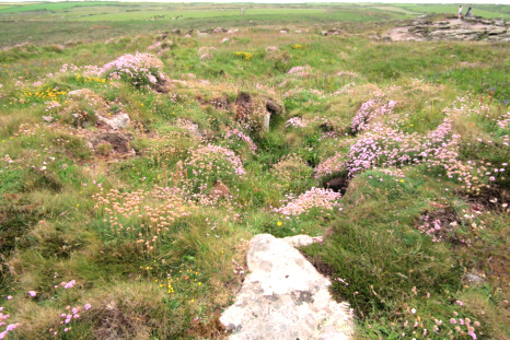 Ruined cist cairn at Pordenack Point. Some cists contained relics or magical or geomantic items - not always bodies