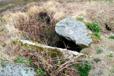 Looking inside the cist in the cairn on the right at Botallack Common