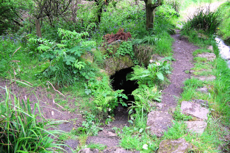 Carn Euny holy well