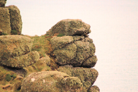 Gruff simulacrum on Carn Boel, south of Land's End - natural