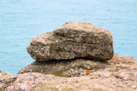 Sitting in wait - near Carn Boel, Land's End, Cornwall