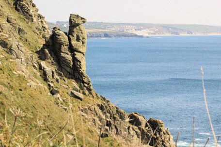 Guardian Meerkat, Rinsey, near Porthleven, Cornwall