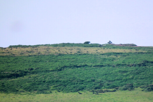 Caer Bran