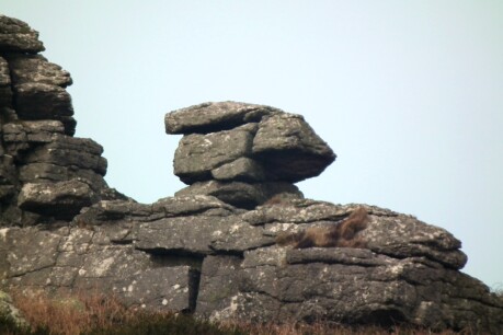 Carn Kenidjak, near St Just, Cornwall