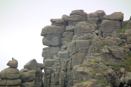 Big Chief looks out to sea, Pordenack Point, Cornwall.