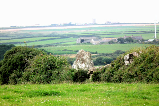 Banns Farm menhir, with a later hedge built into it.