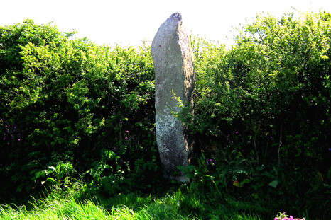Gun Rith, a menhir close to the Merry Maidens. An internal  alignment within the complex goes from this menhir through the Merry Maidens to the now-disappeared Tregurnow stone circle