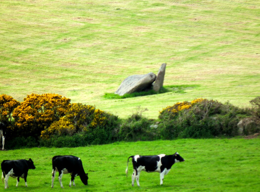 The sad remains of West Lanyon Quoit