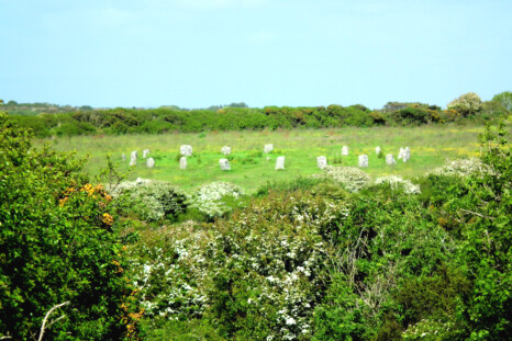 The Merry Maidens as seen from Gûn Rith menhir a few hundred yards away. If Tregurnow stone circle were alive today, it would be on the horizon, aligned with the centre of the Merry Maidens