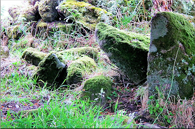 Settlement stones at Bosporthennis - 2,000 years old
