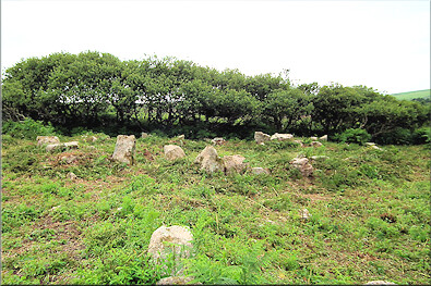 A round hut near Sancreed