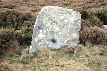 One of the holed stones near Tregeseal