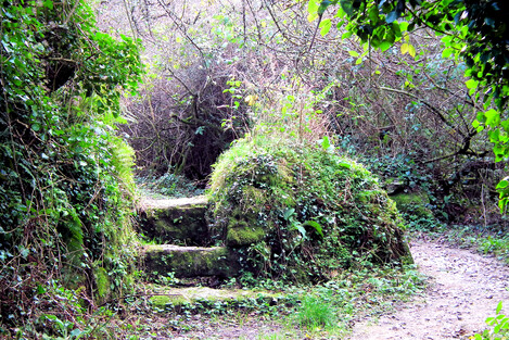 Near Madron Well