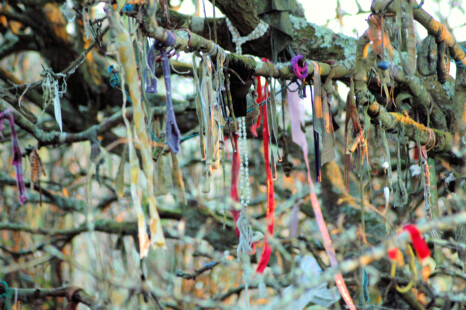 Clouties at St Euny's Well