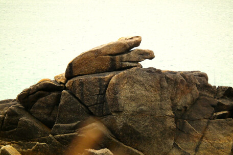 Whitesand Bay, Sennen, Cornwall - lizard wozards
